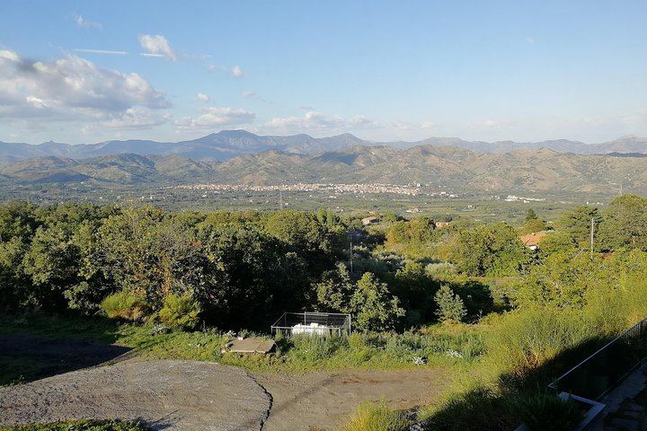 Gambino Winery Tasting on Etna from Taormina: Four Wines and a Sicilian Aperitif (4/12)