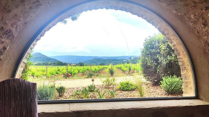 Châteauneuf-du-Pape and Luberon Wine Day Trip from Avignon, Two Tastings and Gordes (3/5)