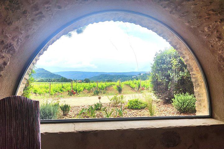 Châteauneuf-du-Pape and Luberon Wine Day Trip from Avignon, Two Tastings and Gordes (3/5)