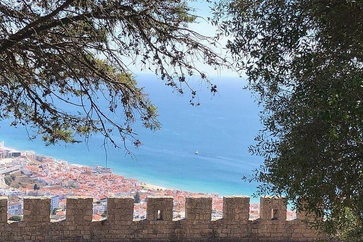 Private Half-Day Sesimbra Tour: Moorish Castle, Bacalhôa Wines and Hilltop Swing (6/12)