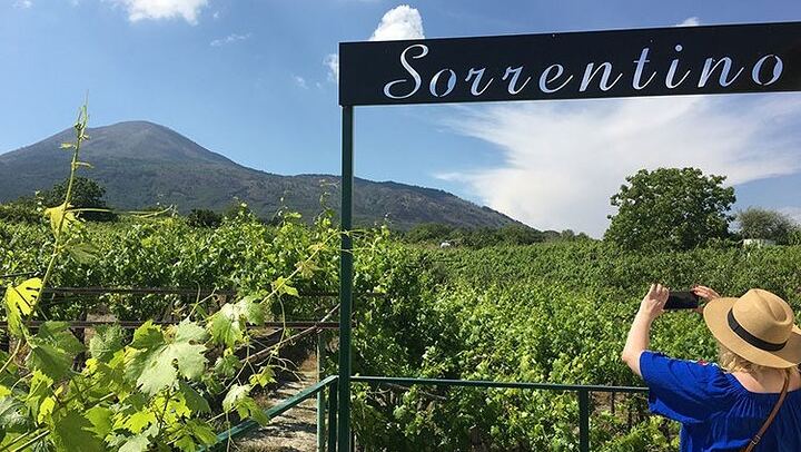 Private Vesuvius Vineyard Walk and Wine Lunch, NWT Sommelier, Transfer from Naples (4/12)