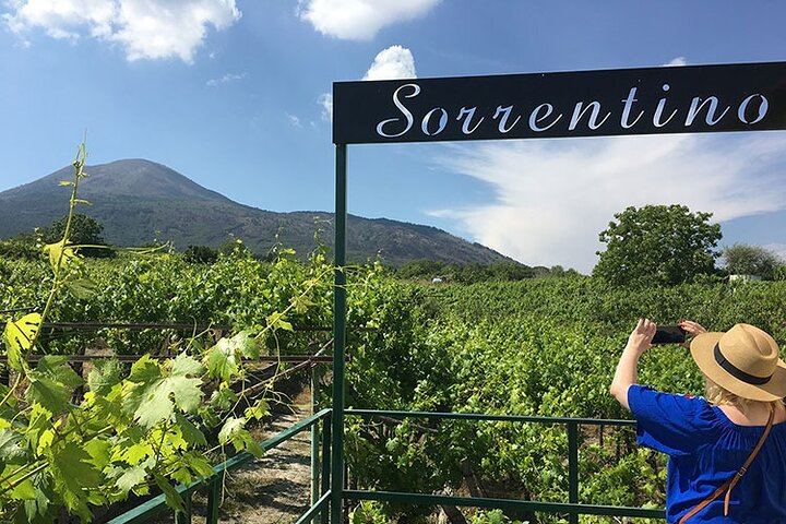 Private Vesuvius Vineyard Walk and Wine Lunch, NWT Sommelier, Transfer from Naples (4/12)