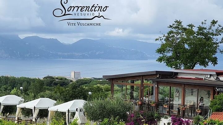 Private Vesuvius Vineyard Walk and Wine Lunch, NWT Sommelier, Transfer from Naples (3/12)