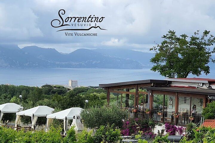 Private Vesuvius Vineyard Walk and Wine Lunch, NWT Sommelier, Transfer from Naples (3/12)