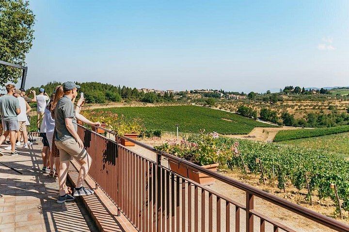 Small-Group Chianti Day from Florence: Riseccoli, Casa Emma, Poggio Torselli (12/12)