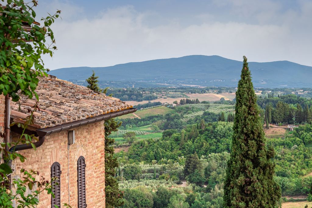 Terracotta rooftop and a tall cypress above the Tuscan countryside near San Gimignano