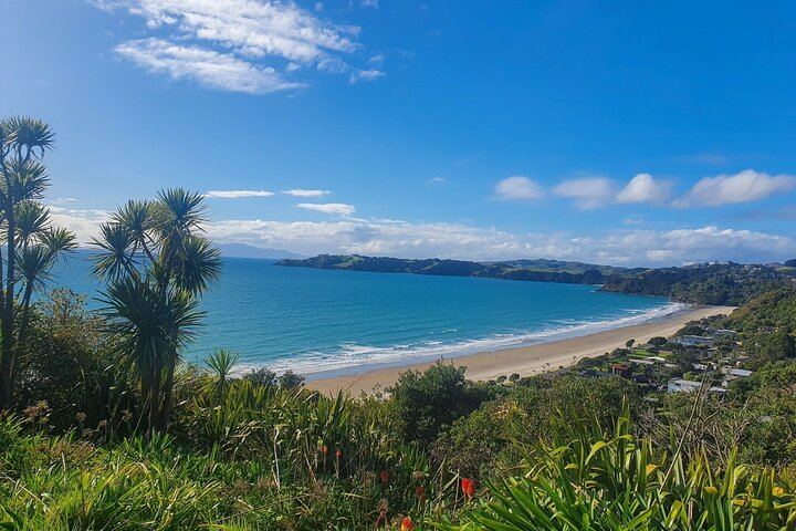 Waiheke Half-Day Scenic Wine Tour: Two Vineyards, Platter Lunch, 12pm Ferry (8/11)