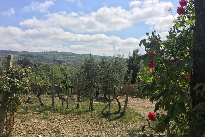 Private Chianti Tour: Two Boutique Wineries, Three-Course Lunch and Greve, 5 Hours (12/12)