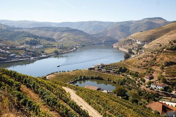 Sustainable Douro Valley Day Trip from Porto with Three-Course Lunch and Winery Tasting