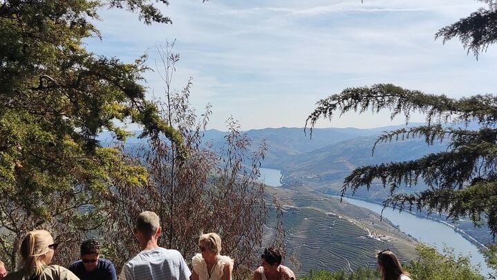 Sustainable Douro Valley Day Trip from Porto with Three-Course Lunch and Winery Tasting (1/9)