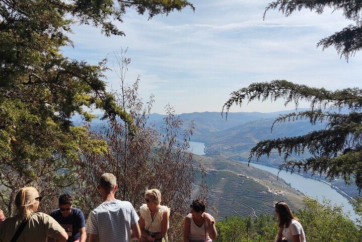 Sustainable Douro Valley Day Trip from Porto with Three-Course Lunch and Winery Tasting (1/9)