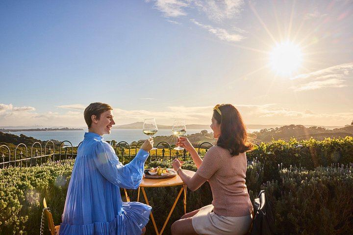 Waiheke Island Wine Tour from Auckland: 3 Vineyards and Beachfront Lunch (1/12)