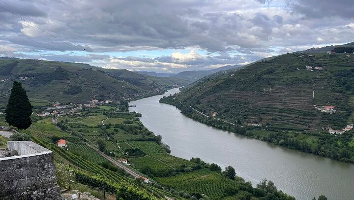 Sustainable Douro Valley Day Trip from Porto with Three-Course Lunch and Winery Tasting (3/9)