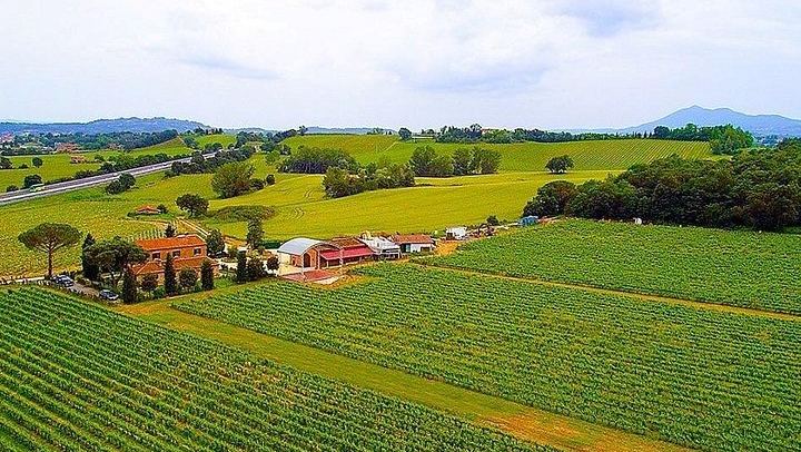 Vespa Ride for Couples in Tuscany: Val d'Orcia or Lake Trasimeno, then Winery Lunch (3/4)