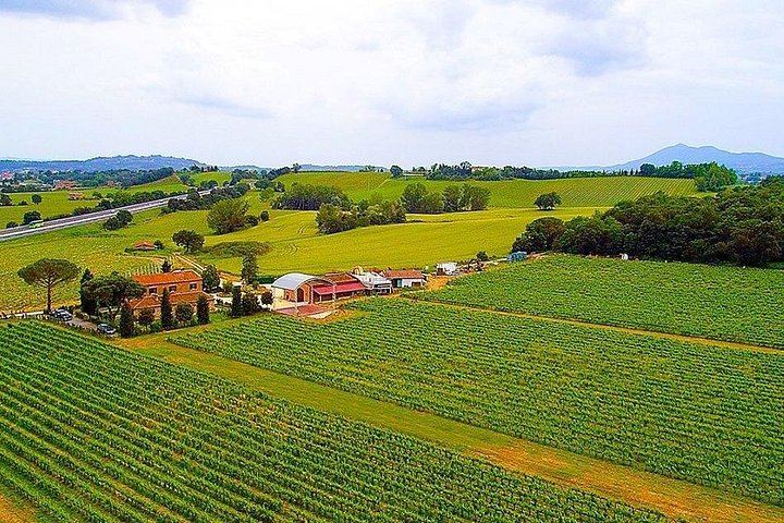 Vespa Ride for Couples in Tuscany: Val d'Orcia or Lake Trasimeno, then Winery Lunch (3/4)