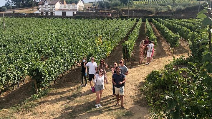 Douro Valley Premium Small Group from Porto: Port Tasting, Boat Ride, Farm Lunch (4/12)