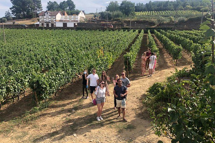 Douro Valley Premium Small Group from Porto: Port Tasting, Boat Ride, Farm Lunch (4/12)