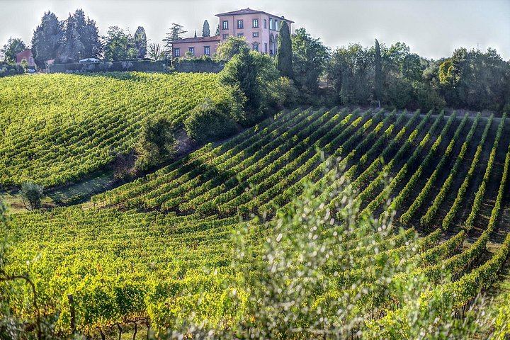 Chianti Classico Private Minivan Day from Florence: Montefioralle, Panzano and Farm Lunch (1/12)