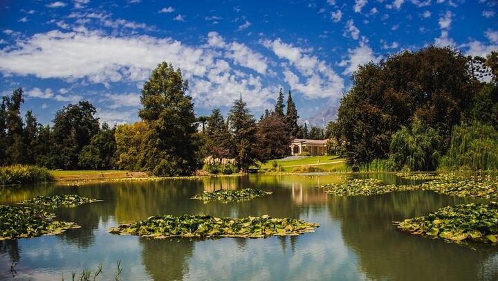 Concha y Toro Premium Wine Center Tour: Guarda del Alto and Four Premium Wines (1/11)