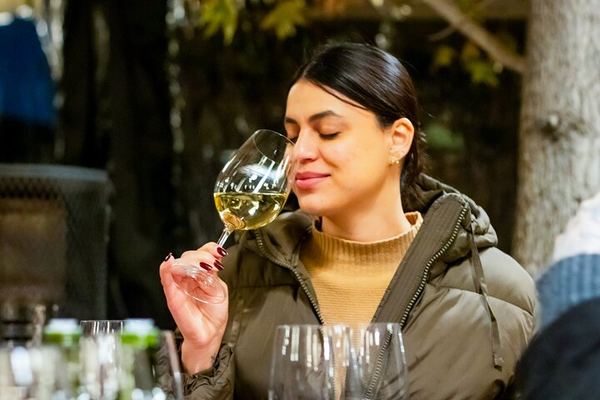 Concha y Toro Premium Wine Center Tour: Guarda del Alto and Four Premium Wines