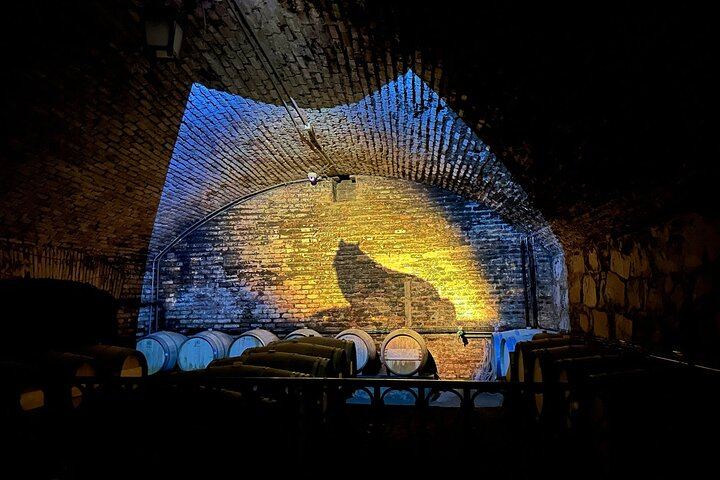 Concha y Toro Premium Wine Center Tour: Guarda del Alto and Four Premium Wines (9/11)