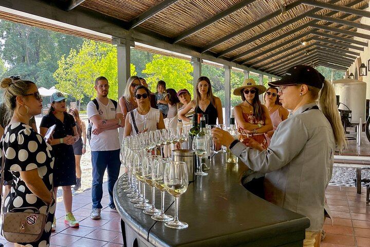 Concha y Toro Premium Wine Center Tour: Guarda del Alto and Four Premium Wines (11/11)