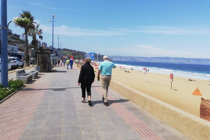 Casablanca Valley Wine Tasting and Valparaiso Heritage Walk, Markets and Elevators (9/12)