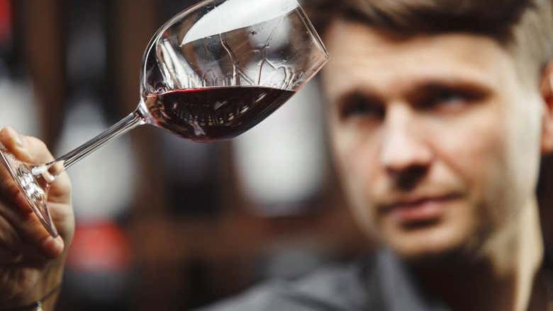 Viña Ijalba Winery Tour in Logroño with Underground Cellar and Three-Wine Tasting (4/4)