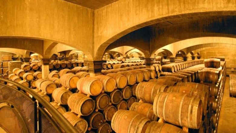 Viña Ijalba Winery Tour in Logroño with Underground Cellar and Three-Wine Tasting (2/4)