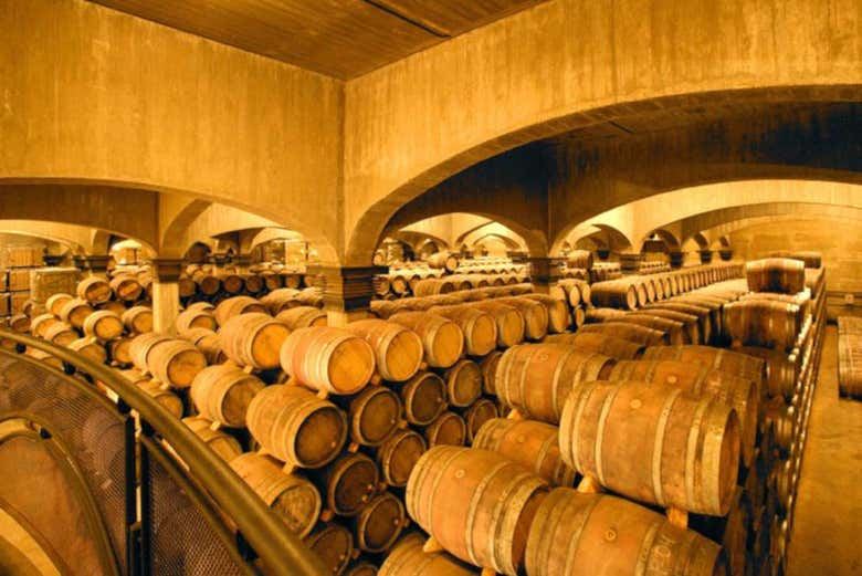 Viña Ijalba Winery Tour in Logroño with Underground Cellar and Three-Wine Tasting (2/4)