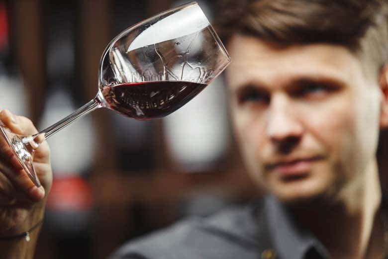 Viña Ijalba Winery Tour in Logroño with Underground Cellar and Three-Wine Tasting (4/4)