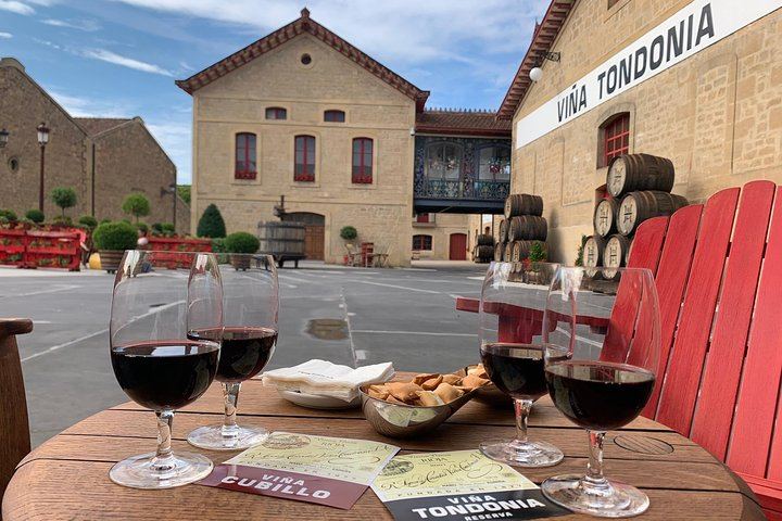 Rioja Alavesa Day Trip: Four Winery Tastings and Medieval Villages (2/12)