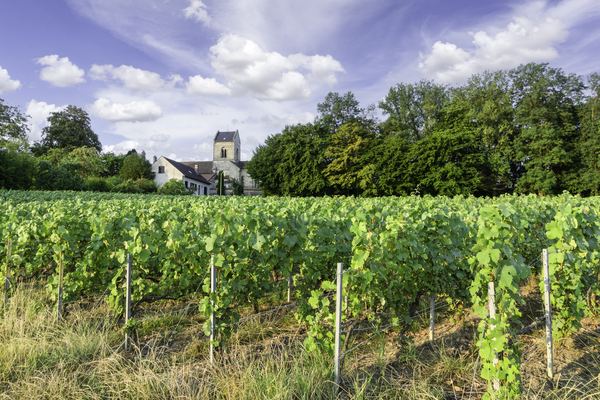 Champagne Tours from Reims & Épernay