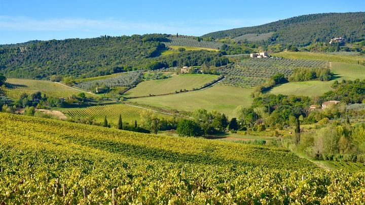 Private Chianti Wine Region Day by Minivan with Winery Lunch and Medieval Hamlets (3/5)
