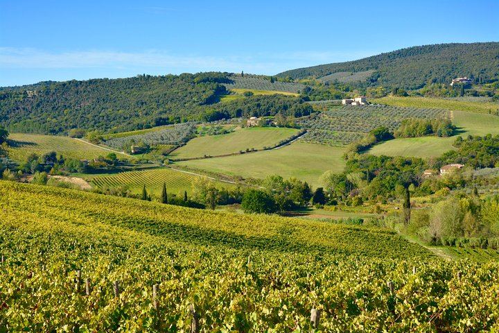Private Chianti Wine Region Day by Minivan with Winery Lunch and Medieval Hamlets (3/5)