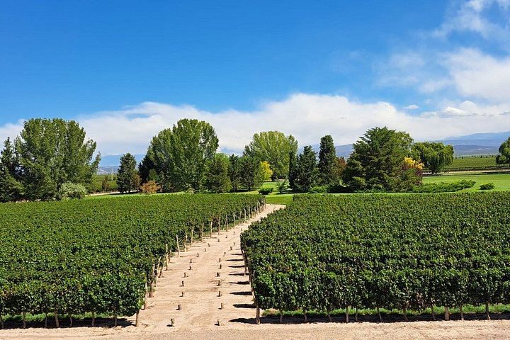 Private Luján de Cuyo Wine Day: Chandon, Budeguer and Lagarde, Michelin Lunch (10/12)