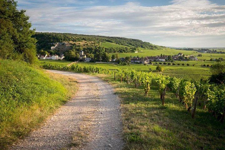 Half-Day Côte de Nuits Wine Tour from Dijon: Two Pinot Noir Tastings on Grands Crus Route (4/6)