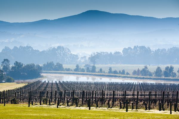 Yarra Valley