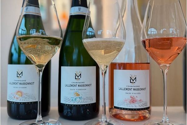 Premier Cru Champagne Vineyard Visit and Triple Tasting in Coulommes-la-Montagne
