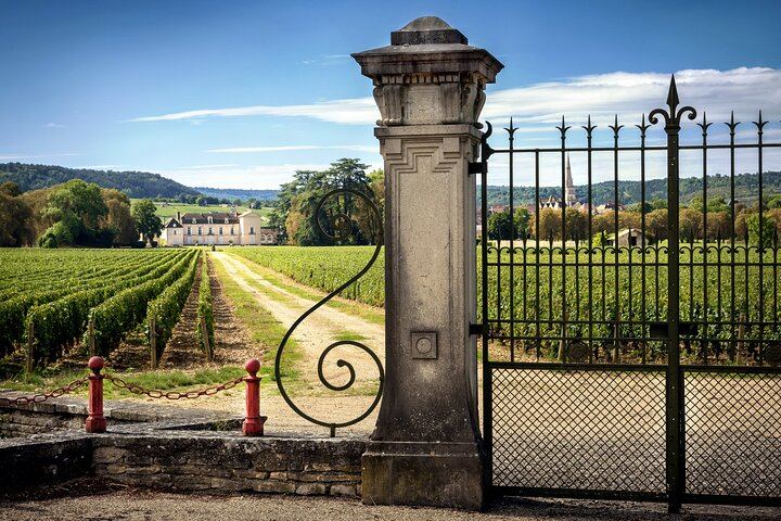 Dijon Full-Day Wine Tour: Three Tastings in the Côte de Nuits and Côte de Beaune (6/8)
