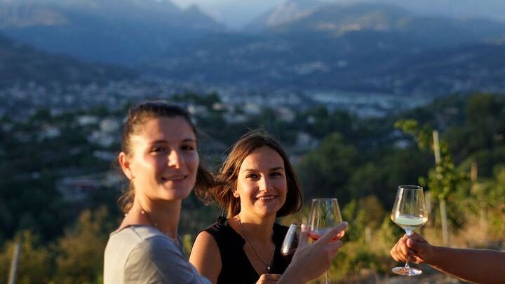 Nice Vineyard Visit and Winery Tour with Sommelier, 3 Options from Group to Private (2/12)