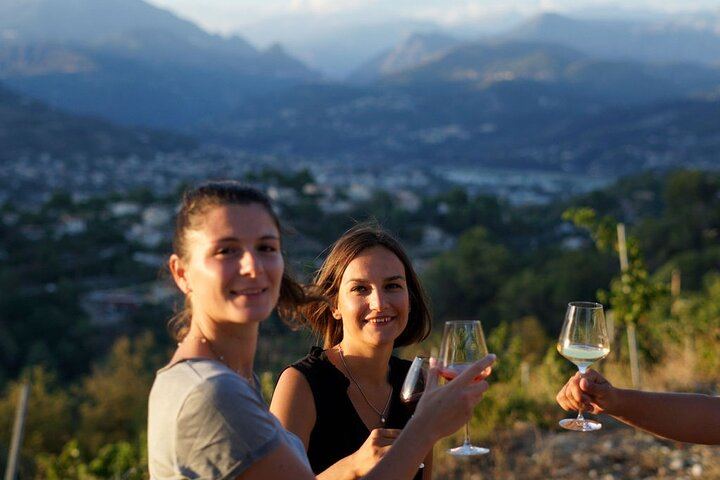 Nice Vineyard Visit and Winery Tour with Sommelier, 3 Options from Group to Private (2/12)