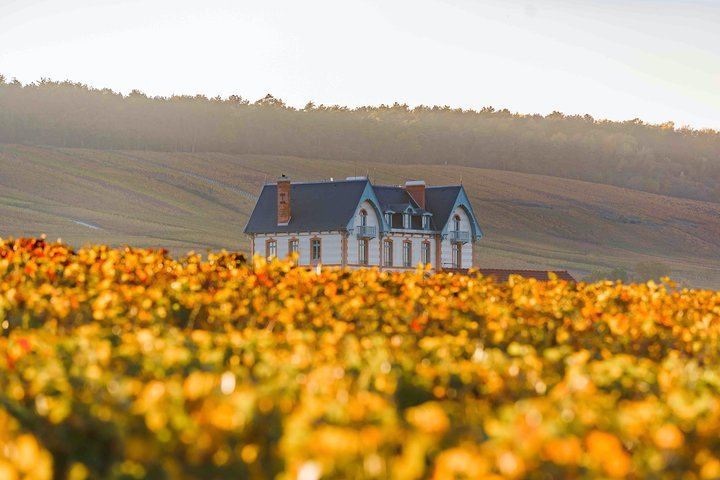 Private Door-to-Door Champagne Tour from Paris: Family Cellar Tasting and Hautvillers (8/12)