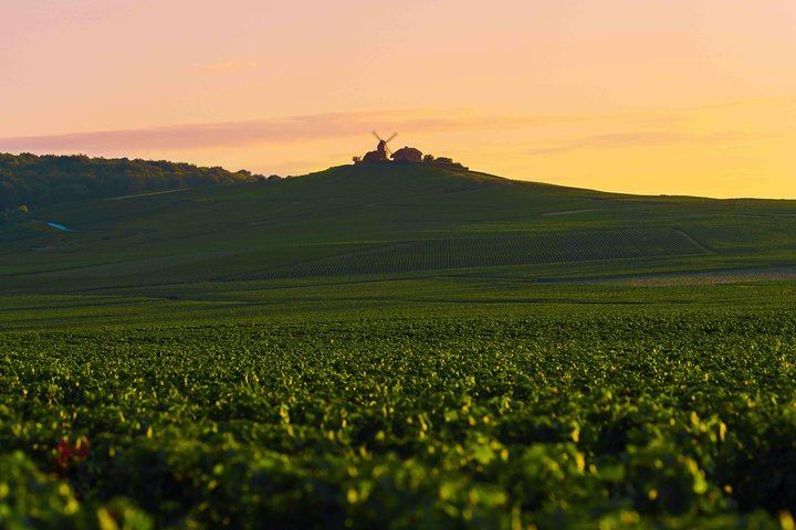 Private Door-to-Door Champagne Tour from Paris: Family Cellar Tasting and Hautvillers (9/12)