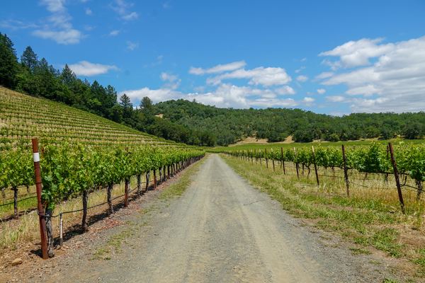Napa & Sonoma