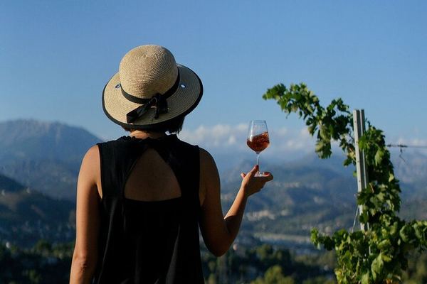 Nice Vineyard Visit and Winery Tour with Sommelier, 3 Options from Group to Private