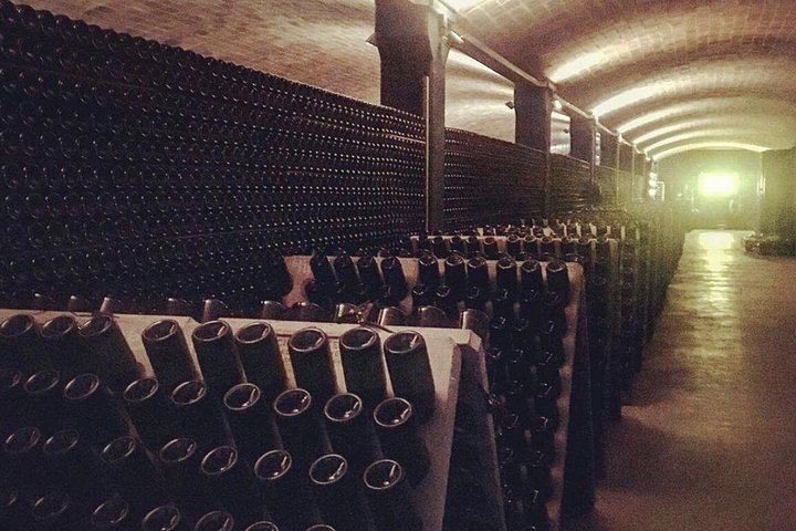 Private Penedès Tour of Three Family-Owned Organic Wineries with Three-Course Lunch (8/10)