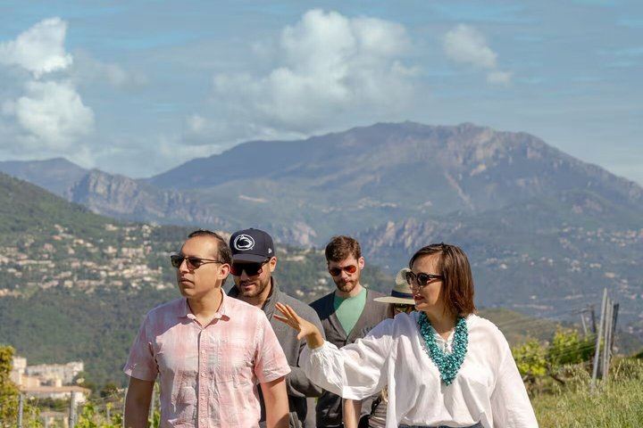 Nice Vineyard Visit and Winery Tour with Sommelier, 3 Options from Group to Private (1/12)