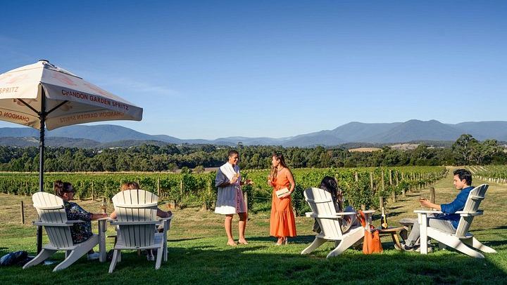 Yarra Valley Afternoon Tour: Chandon Sparkling, Cheese and Sunset Kangaroos, 12 Guests Max (4/12)