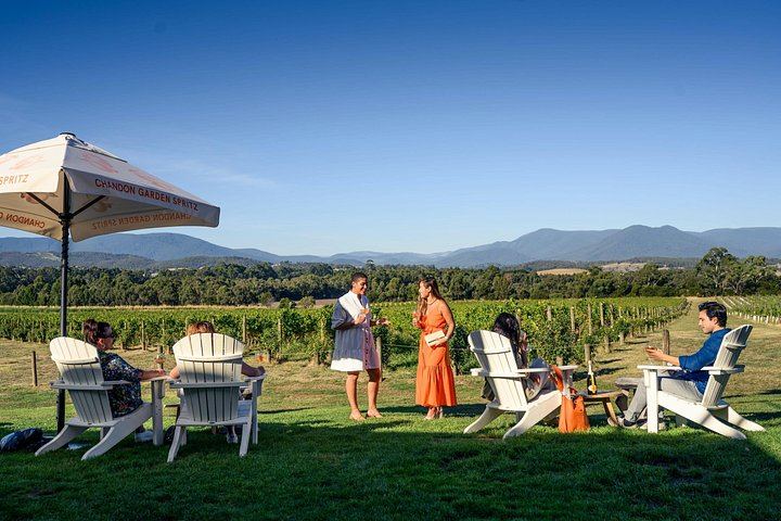 Yarra Valley Afternoon Tour: Chandon Sparkling, Cheese and Sunset Kangaroos, 12 Guests Max (4/12)
